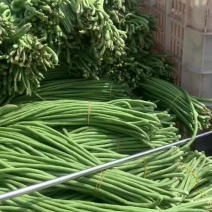 豆角
