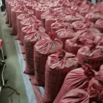 大别山区新鲜板栗预售