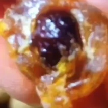 储良桂圆干