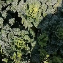 有需要的请打电话联系我。