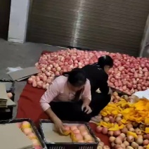 各位老板好，新世纪苹果已大量上市，需要的老板请赶紧联系。