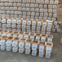 胡蜂养殖筑巢箱