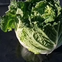 大量批发