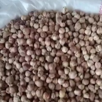 海南益智仁包含量过检，广东益智仁新货大量上市，批零兼营，