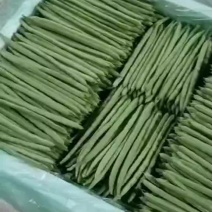 小金豆偏豆无筋豆