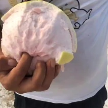来哦，，有大，，有红的，，三红柚，，，，，，，，