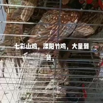 常年稳定有货，提前预定
