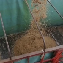 【推荐】厂家直供新鲜啤酒糟湿度低养殖专用长期稳定供货