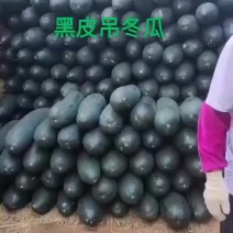 黑皮吊冬瓜产地直发、一手货源……