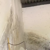 新鲜豆渣