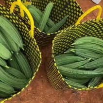 肉丝瓜