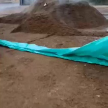 酒糟