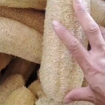 软瓜新货50斤起批48一斤精品挑选货