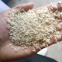 色选米大量有货