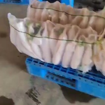 查货有货了