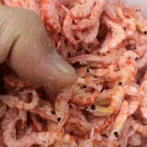 优质南极鳞虾