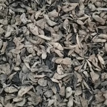 东北黑木耳基地货源量大优惠可供超市平台电商一件代发