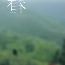 海拔1200米的高山茶，无污染，原生态