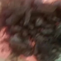 果木碳工业碳