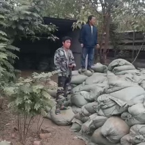 纯干鸡粪湖南鸡粪基地直供量大从优欢迎联系有机肥