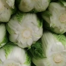 白菜大包菜
