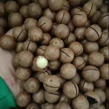八种坚果每日健康之选，每日坚果甄选优质坚果