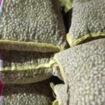 现货有需要的联系