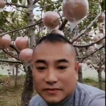红富士苹果