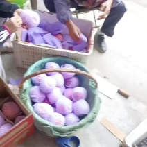长武红富士