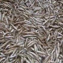 油炸小白条