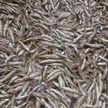 油炸小白条