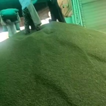 今年新青花椒，青麻椒，干净无刺麻度高产地一手货源