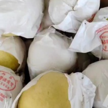 金花梨