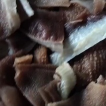 切片毛肚，好品质低价格，火锅自助餐店性价比宝贝