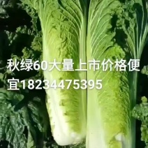 大量供应