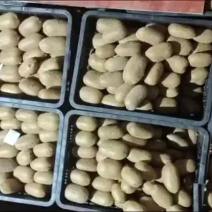 100克起步