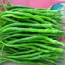二荆条