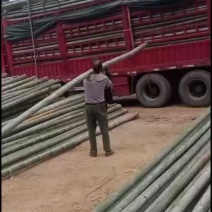 楠竹斑竹毛竹百家竹金竹各个规格可以定做的