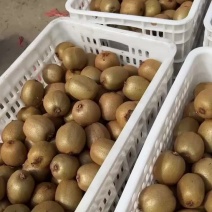 绿心猕猴桃90克起，硬度好，个头大，价格便宜，货不多了