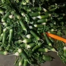 需要的请与我联系