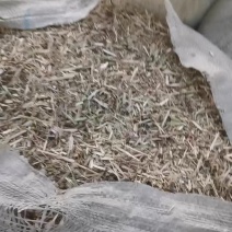 花生秧小草