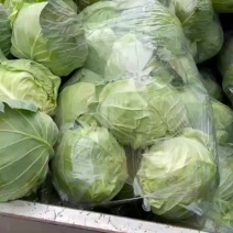 甘蓝包菜