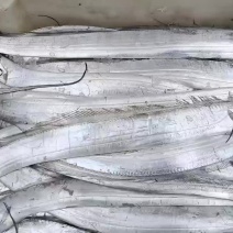 流网各种规格带鱼黄花鱼
