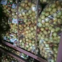 冬枣，脆甜冬枣大量上市