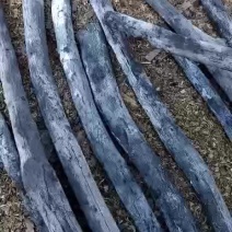钨钢炭