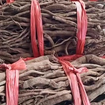 海南胡椒根大量现货质量保证欢迎联系采购量大从优