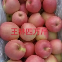 王林苹果