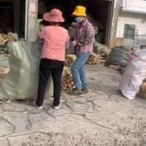 常年出售水瓜