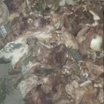 产地直发全国供应正品保障鲜美牛头肉健康享受