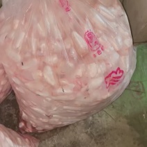鱼泡一手货源